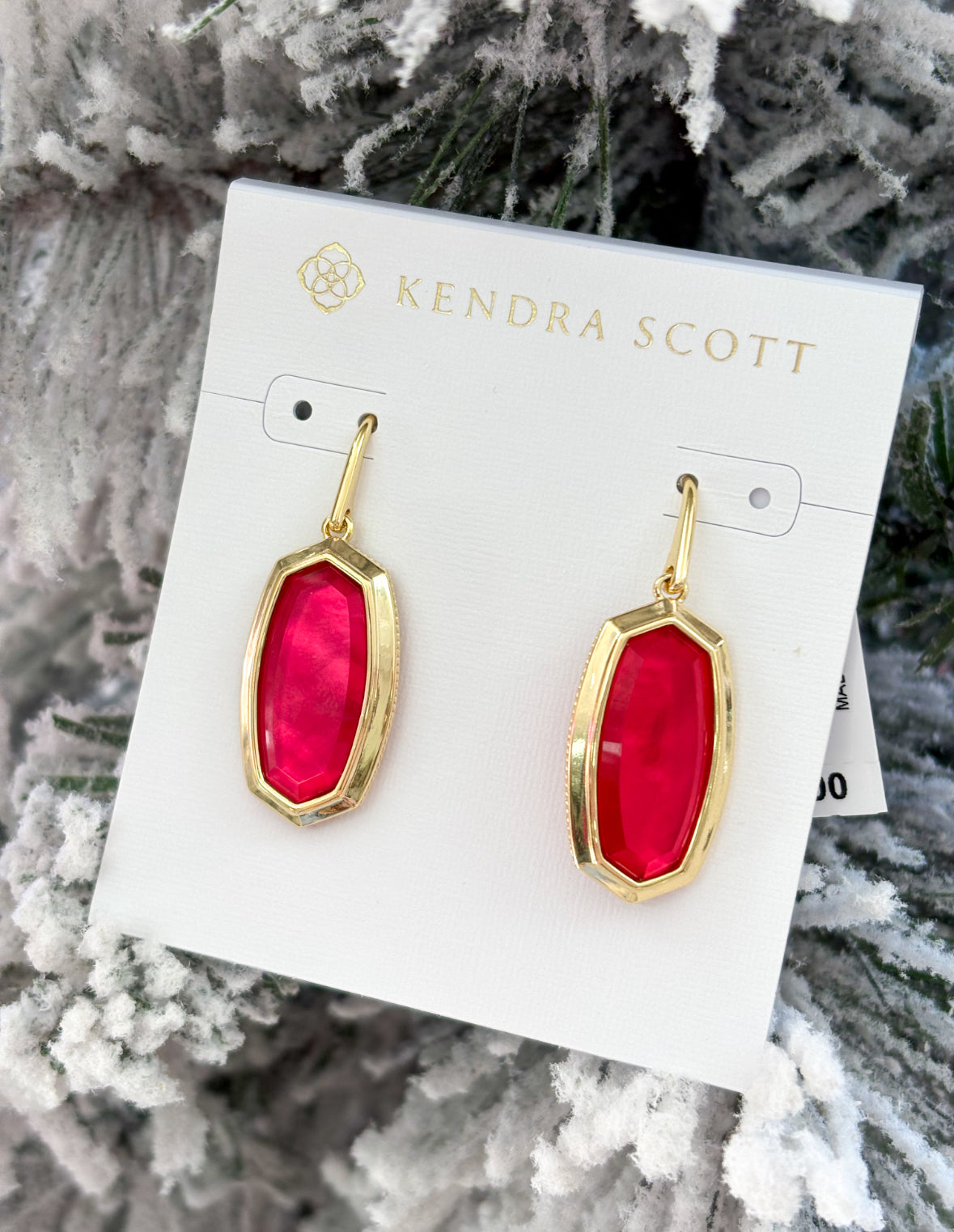 Dani Bezel Drop Earrings Carmine Red