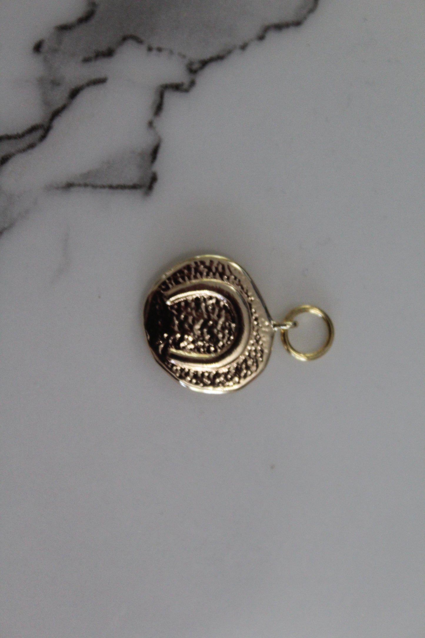 Horse and Horse Shoe Pendant