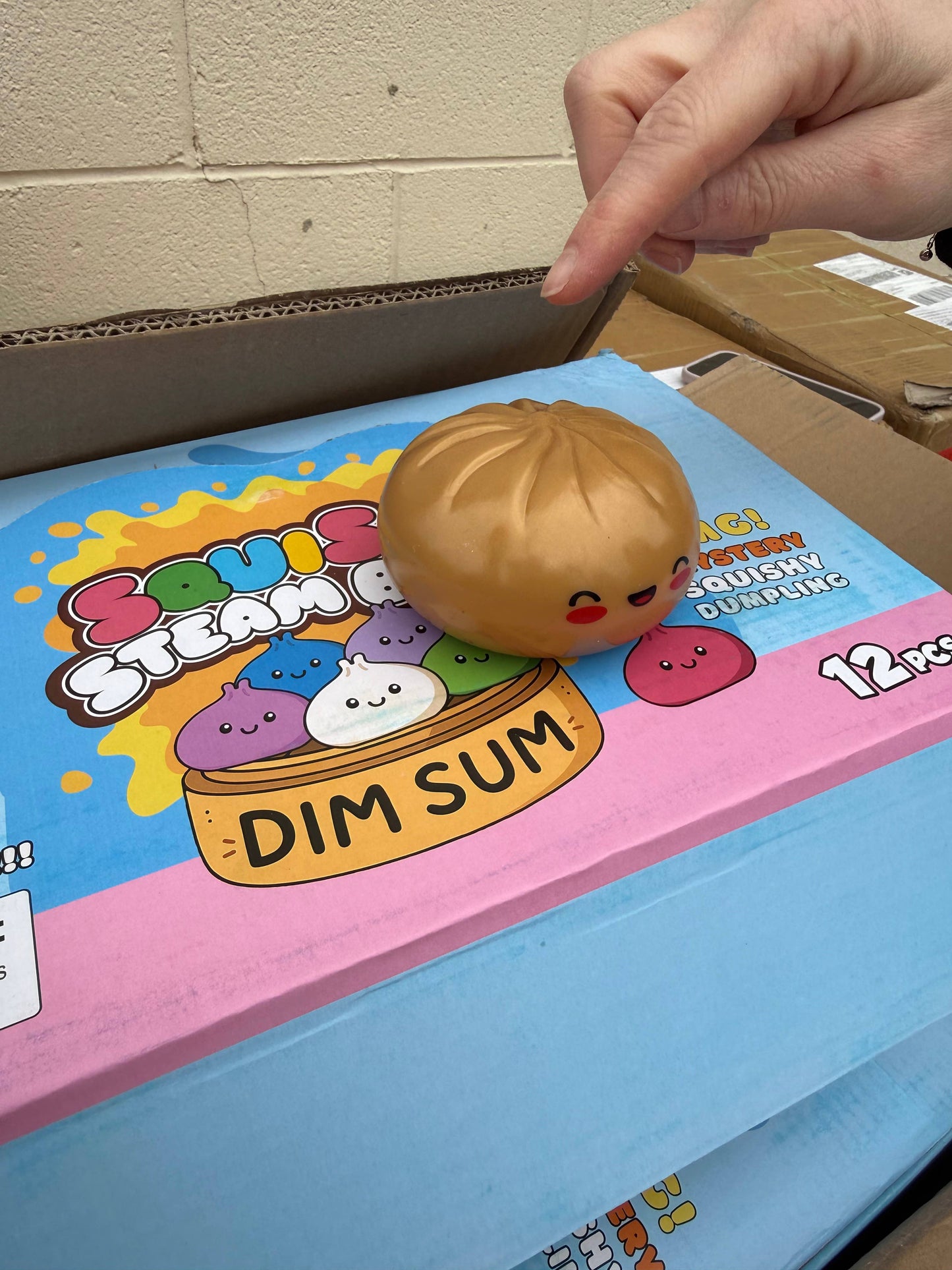 Viral Mystery Dumpling Squishy  