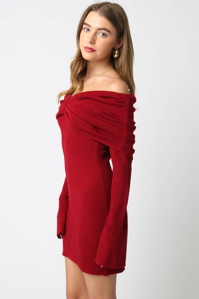 Rubi Knit Mini Dress: Burgundy / Contemporary / M