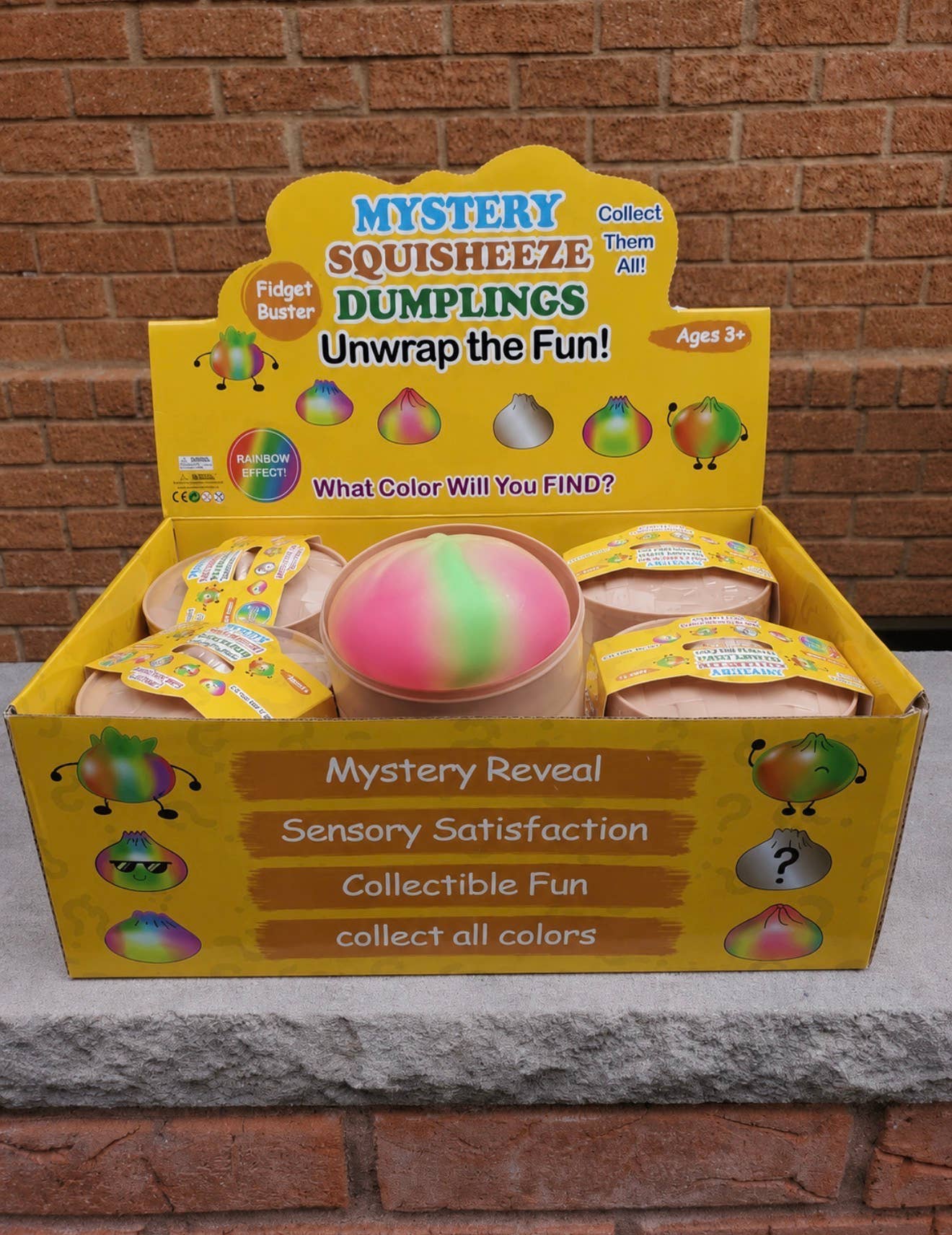 Viral Mystery Dumpling Squishy  