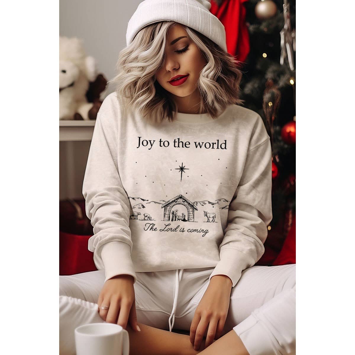 JOY TO THE WORLD MINERAL GRAPHIC SWEATWHIRTS: Mineral Oatmeal / S-M-L-XL(1-2-2-1)