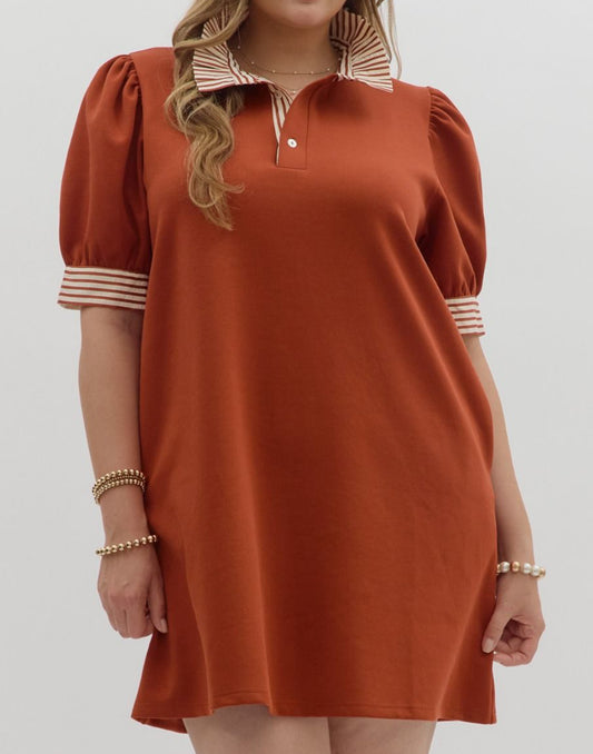 Plus Size Rust Stripe Sleeve Dress