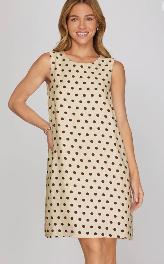 Brown Polka Dress