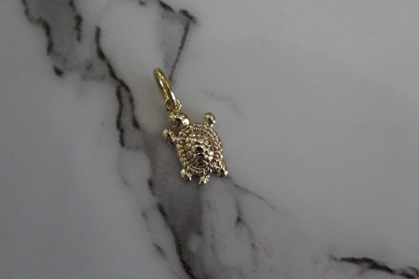 Turtle Charm