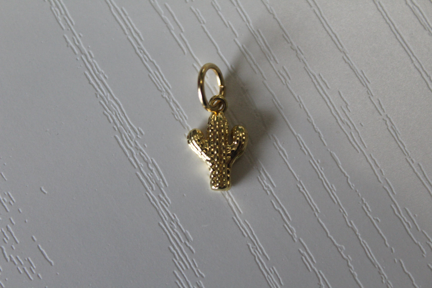 Cactus Charm