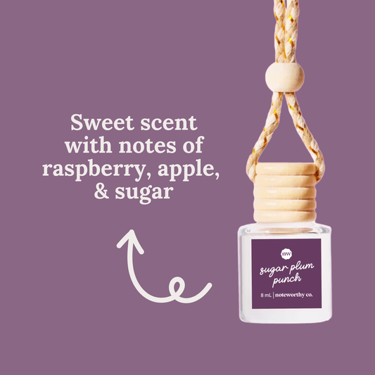 Car Diffusers | NEW Holiday Scents: Individual Mylar Bag / Sugar Plum Punch